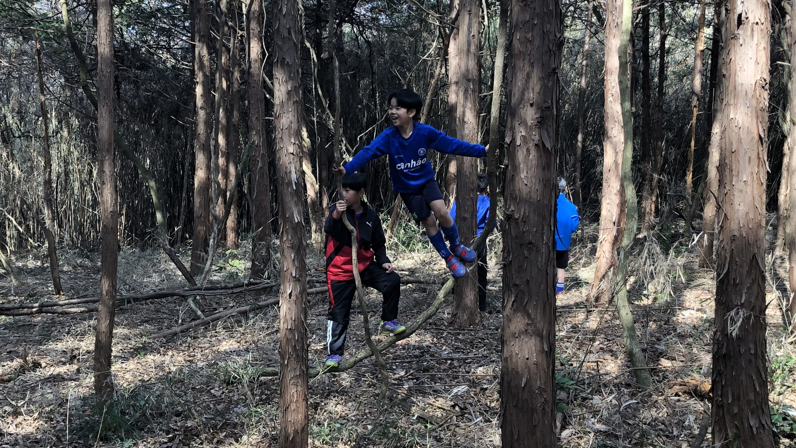 小美玉市公園